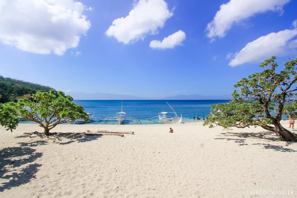 Quiet tropical beach near Manila with palm trees and small boats