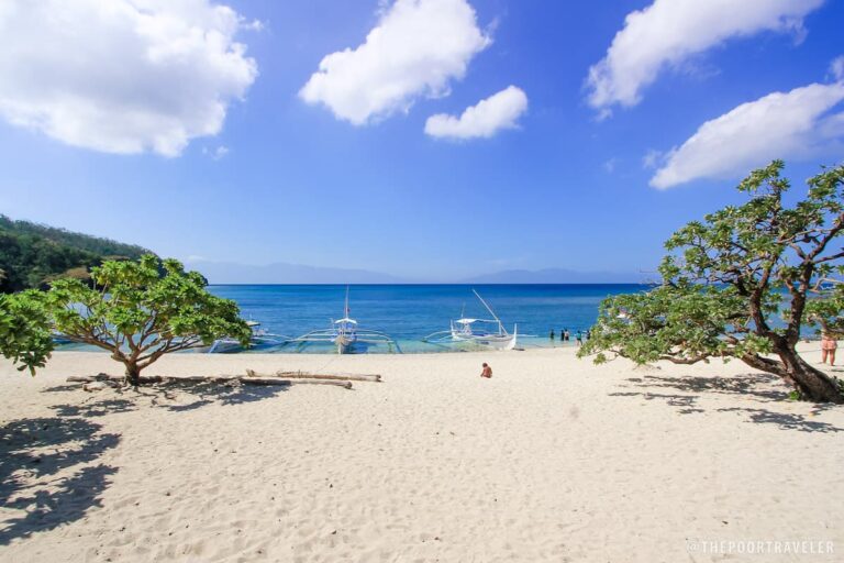 Quiet tropical beach near Manila with palm trees and small boats
